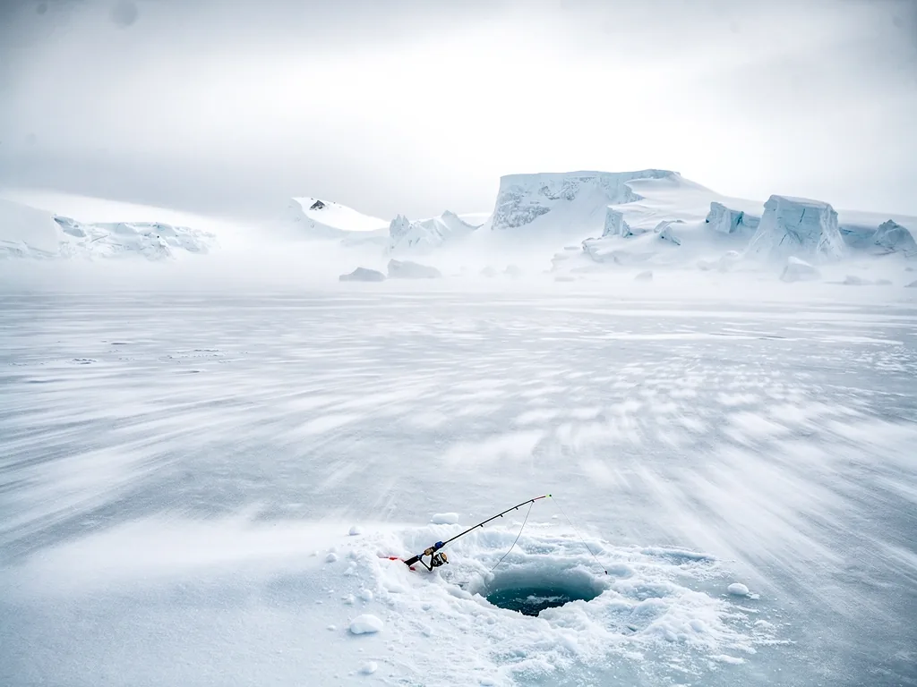 Arctic whiteout